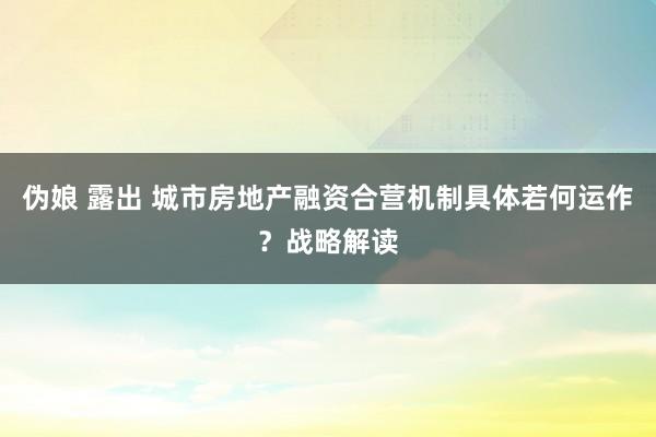 伪娘 露出 城市房地产融资合营机制具体若何运作？战略解读