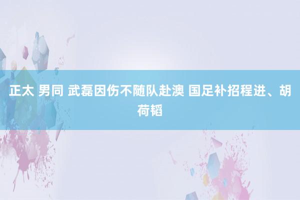 正太 男同 武磊因伤不随队赴澳 国足补招程进、胡荷韬