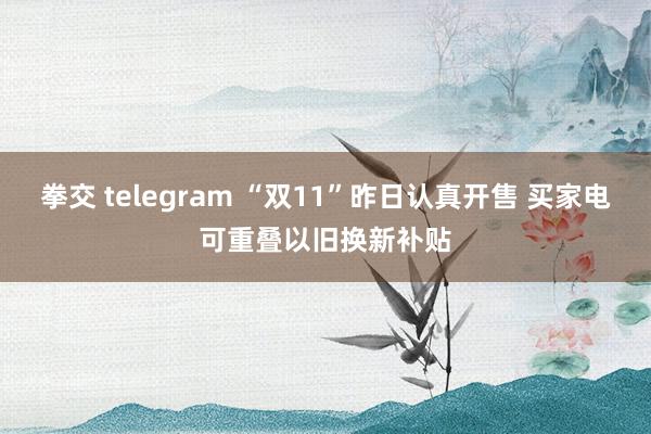 拳交 telegram “双11”昨日认真开售 买家电可重叠以旧换新补贴