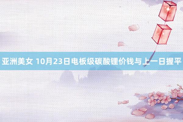 亚洲美女 10月23日电板级碳酸锂价钱与上一日握平