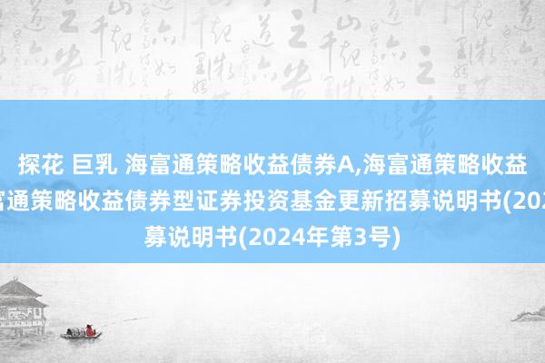 探花 巨乳 海富通策略收益债券A，海富通策略收益债券C: 海富通策略收益债券型证券投资基金更新招募说明书(2024年第3号)