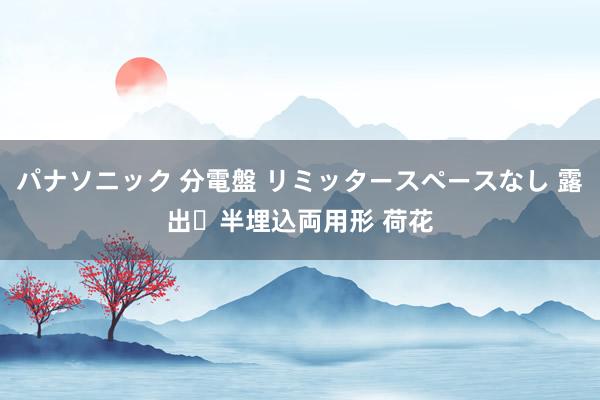 パナソニック 分電盤 リミッタースペースなし 露出・半埋込両