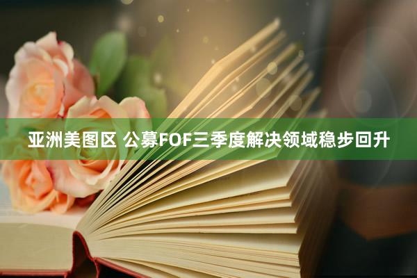 亚洲美图区 公募FOF三季度解决领域稳步回升