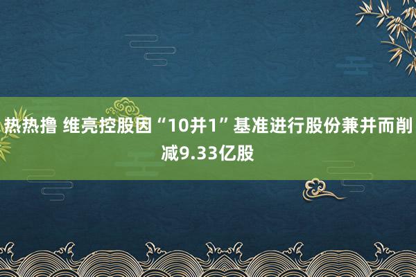 热热撸 维亮控股因“10并1”基准进行股份兼并而削减9.33亿股