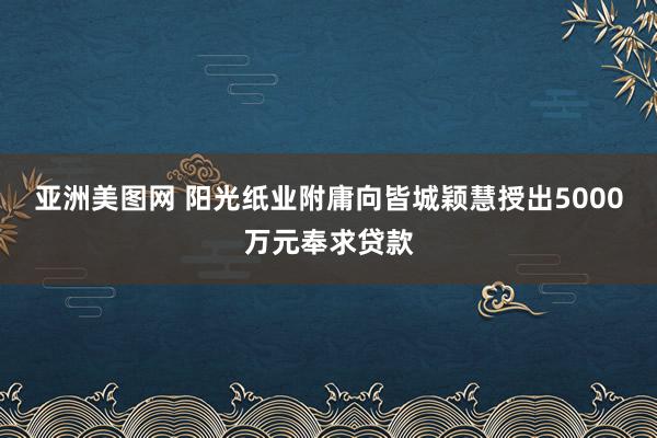 亚洲美图网 阳光纸业附庸向皆城颖慧授出5000万元奉求贷款