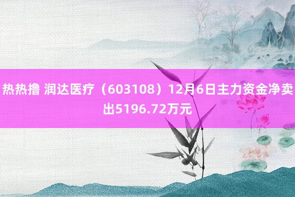 热热撸 润达医疗（603108）12月6日主力资金净卖出5196.72万元