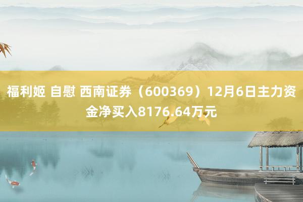 福利姬 自慰 西南证券（600369）12月6日主力资金净买入8176.64万元