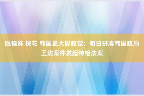 眼镜妹 探花 韩国最大握政党：明日拼凑韩国政局王法案件发起特检法案