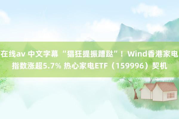 在线av 中文字幕 “猖狂提振蹧跶”！Wind香港家电指数涨超5.7% 热心家电ETF（159996）契机