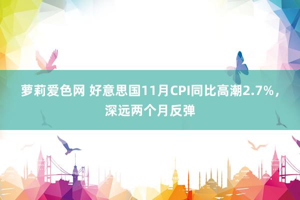 萝莉爱色网 好意思国11月CPI同比高潮2.7%，深远两个月反弹