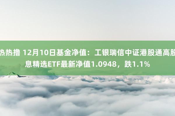 热热撸 12月10日基金净值：工银瑞信中证港股通高股息精选ETF最新净值1.0948，跌1.1%