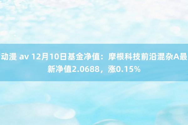 动漫 av 12月10日基金净值：摩根科技前沿混杂A最新净值2.0688，涨0.15%