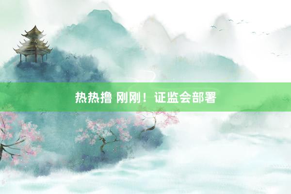 热热撸 刚刚！证监会部署