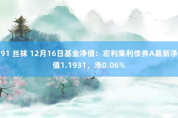 91 丝袜 12月16日基金净值：宏利集利债券A最新净值1.1931，涨0.06%