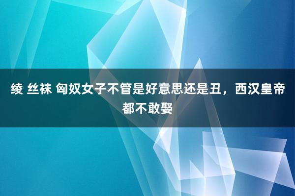 绫 丝袜 匈奴女子不管是好意思还是丑，西汉皇帝都不敢娶