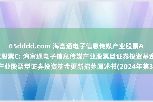 65dddd.com 海富通电子信息传媒产业股票A，海富通电子信息传媒产业股票C: 海富通电子信息传媒产业股票型证券投资基金更新招募阐述书(2024年第3号)