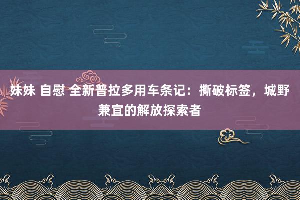 妹妹 自慰 全新普拉多用车条记：撕破标签，城野兼宜的解放探索