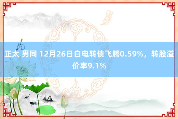 正太 男同 12月26日白电转债飞腾0.59%，转股溢价率9