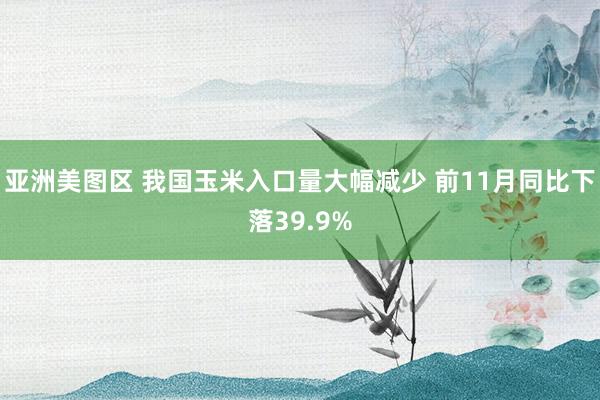 亚洲美图区 我国玉米入口量大幅减少 前11月同比下落39.9%