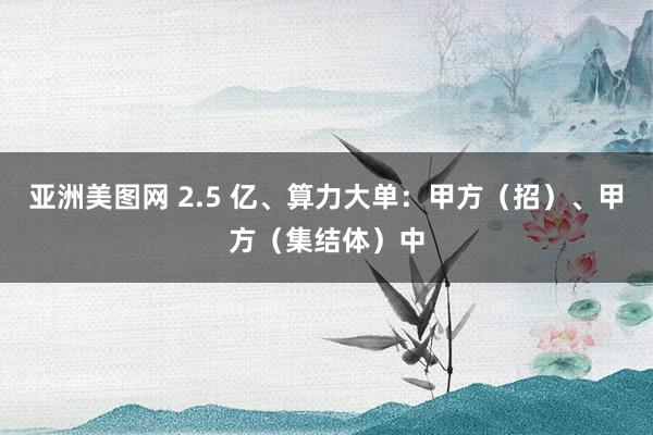 亚洲美图网 2.5 亿、算力大单：甲方（招）、甲方（集结体）中