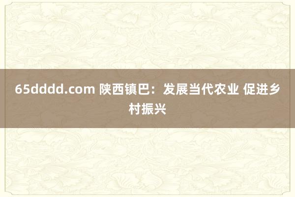 65dddd.com 陕西镇巴：发展当代农业 促进乡村振兴