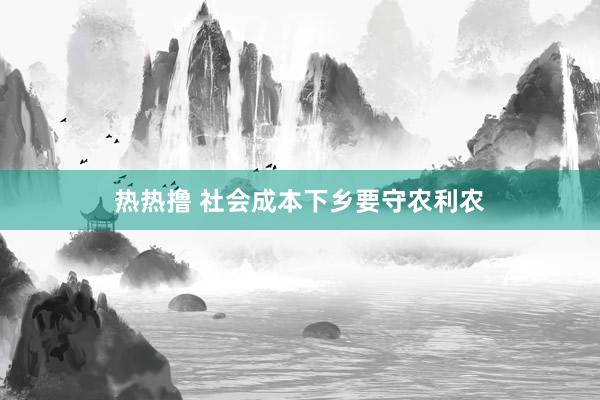 热热撸 社会成本下乡要守农利农