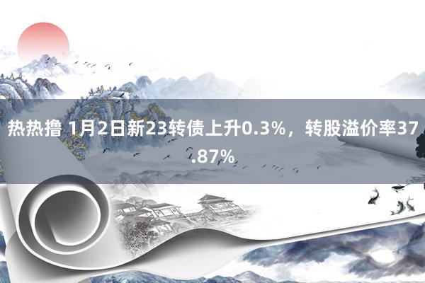 热热撸 1月2日新23转债上升0.3%，转股溢价率37.87