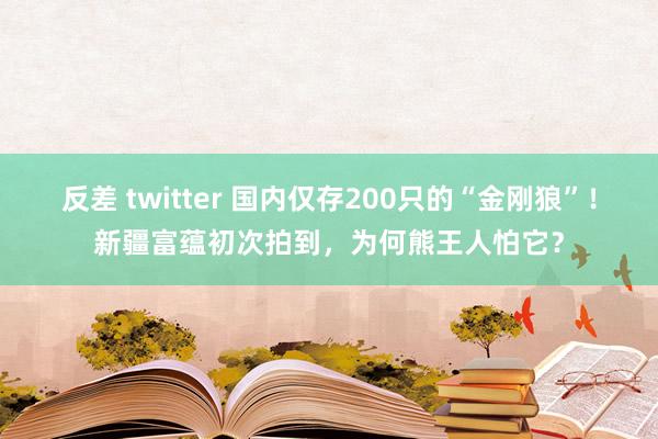 反差 twitter 国内仅存200只的“金刚狼”！新疆富蕴初次拍到，为何熊王人怕它？