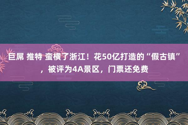 巨屌 推特 蛮横了浙江！花50亿打造的“假古镇”，被评为4A