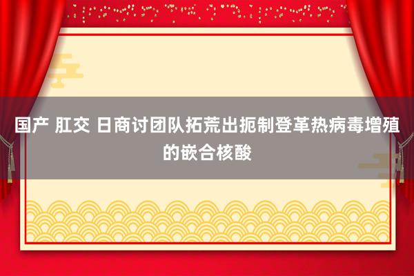 国产 肛交 日商讨团队拓荒出扼制登革热病毒增殖的嵌合核酸