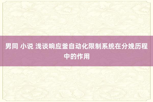 男同 小说 浅谈响应釜自动化限制系统在分娩历程中的作用