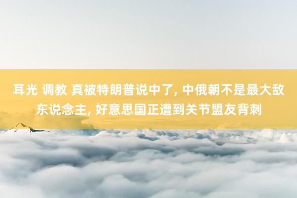 耳光 调教 真被特朗普说中了, 中俄朝不是最大敌东说念主, 