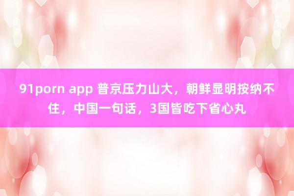 91porn app 普京压力山大，朝鲜显明按纳不住，中国一