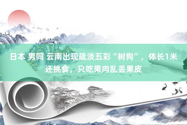 日本 男同 云南出现疏淡五彩“树狗”，体长1米还挑食，只吃果