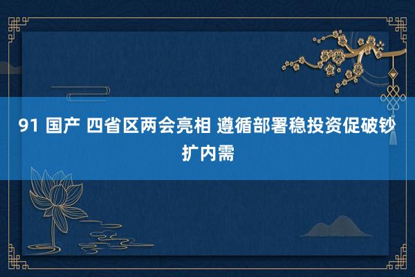 91 国产 四省区两会亮相 遵循部署稳投资促破钞扩内需